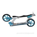 2 Wheel Electric Standing Scooter Parts